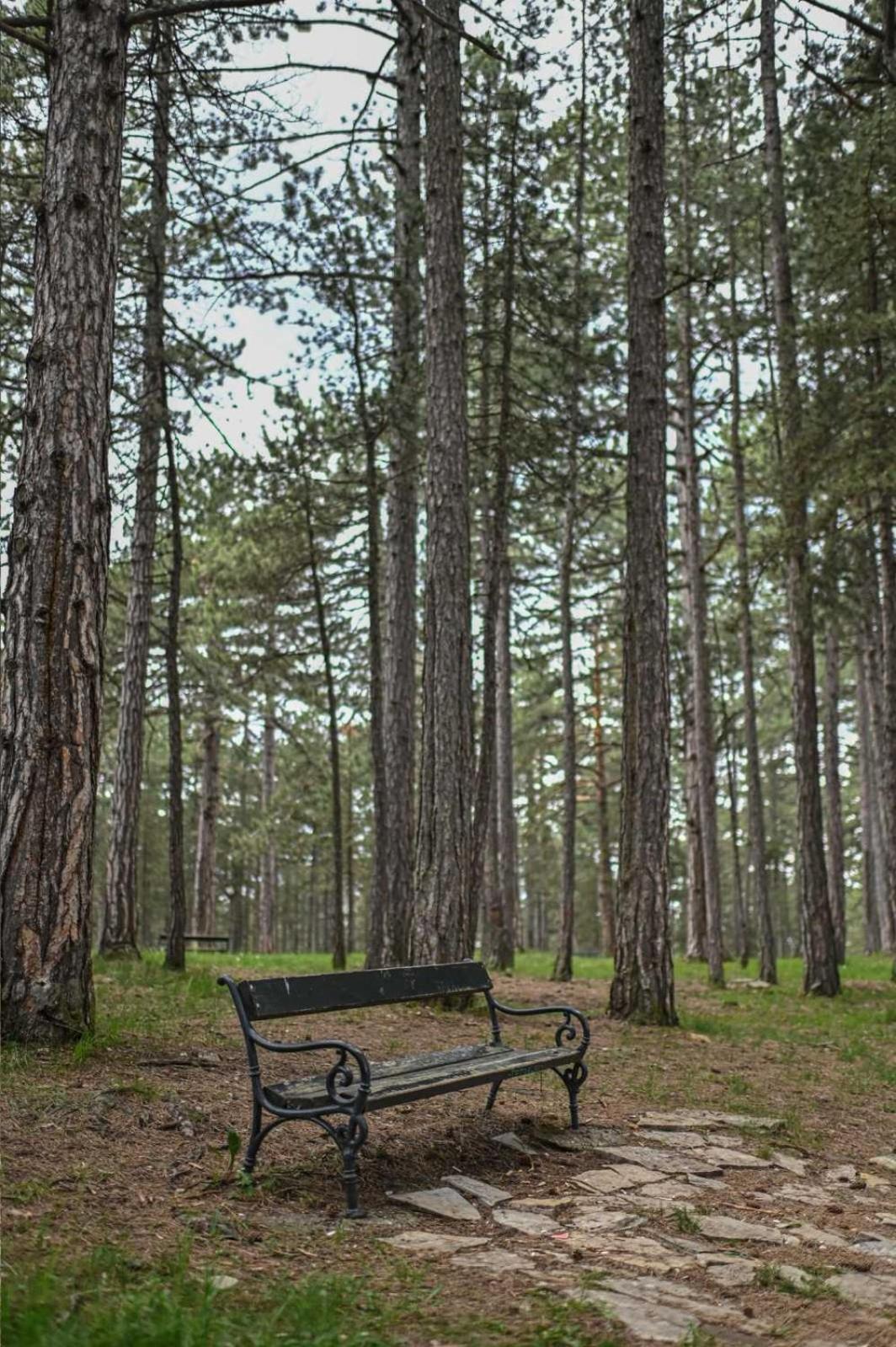 Mb Apartman Tara Kaludjerske Bare Camera foto